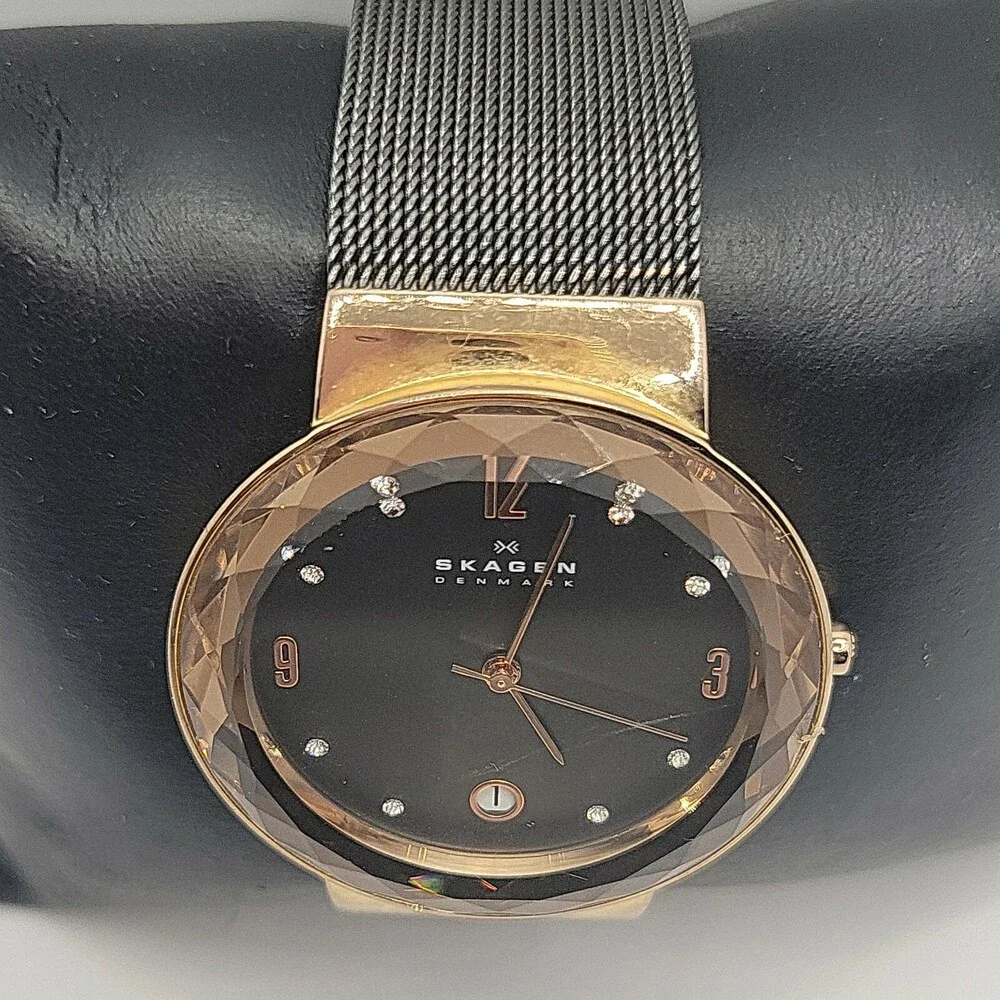 Skagen SKW2120 Women's Stainless Steel Mesh Analog Dial Quartz Wrist Watch AM613